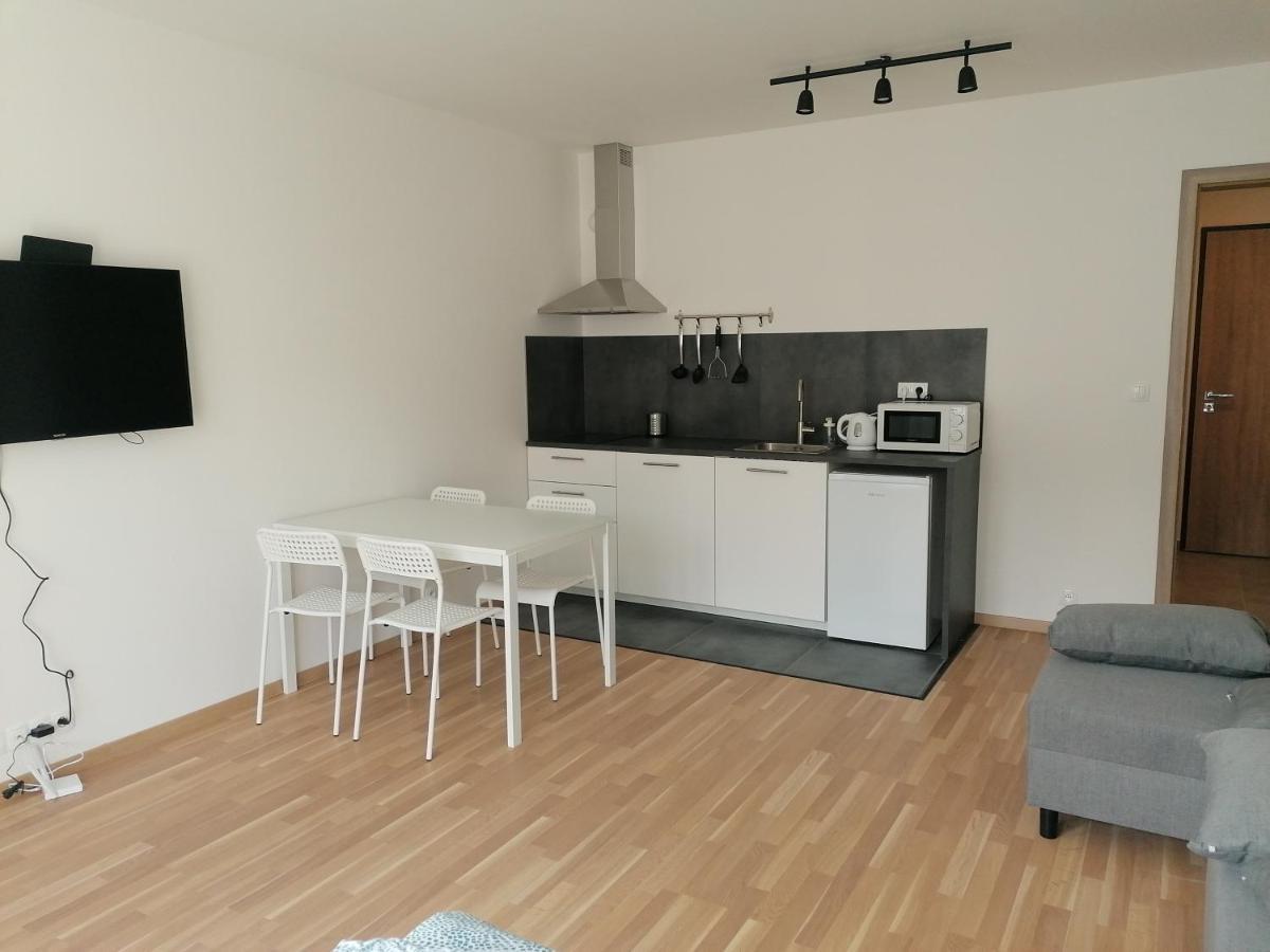 Brand New Studio Apartment #21 With Free Secure Parking In The Center Praag Buitenkant foto
