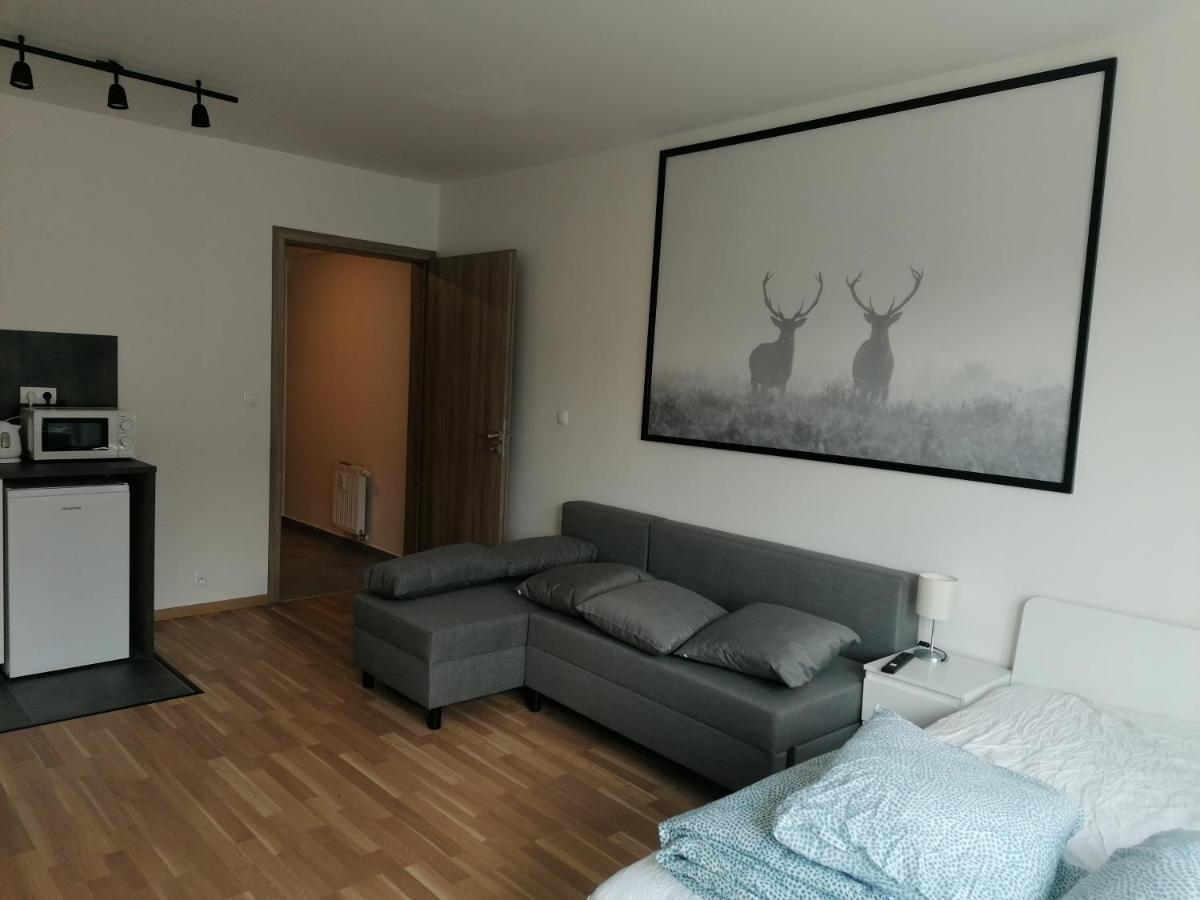 Brand New Studio Apartment #21 With Free Secure Parking In The Center Praag Buitenkant foto